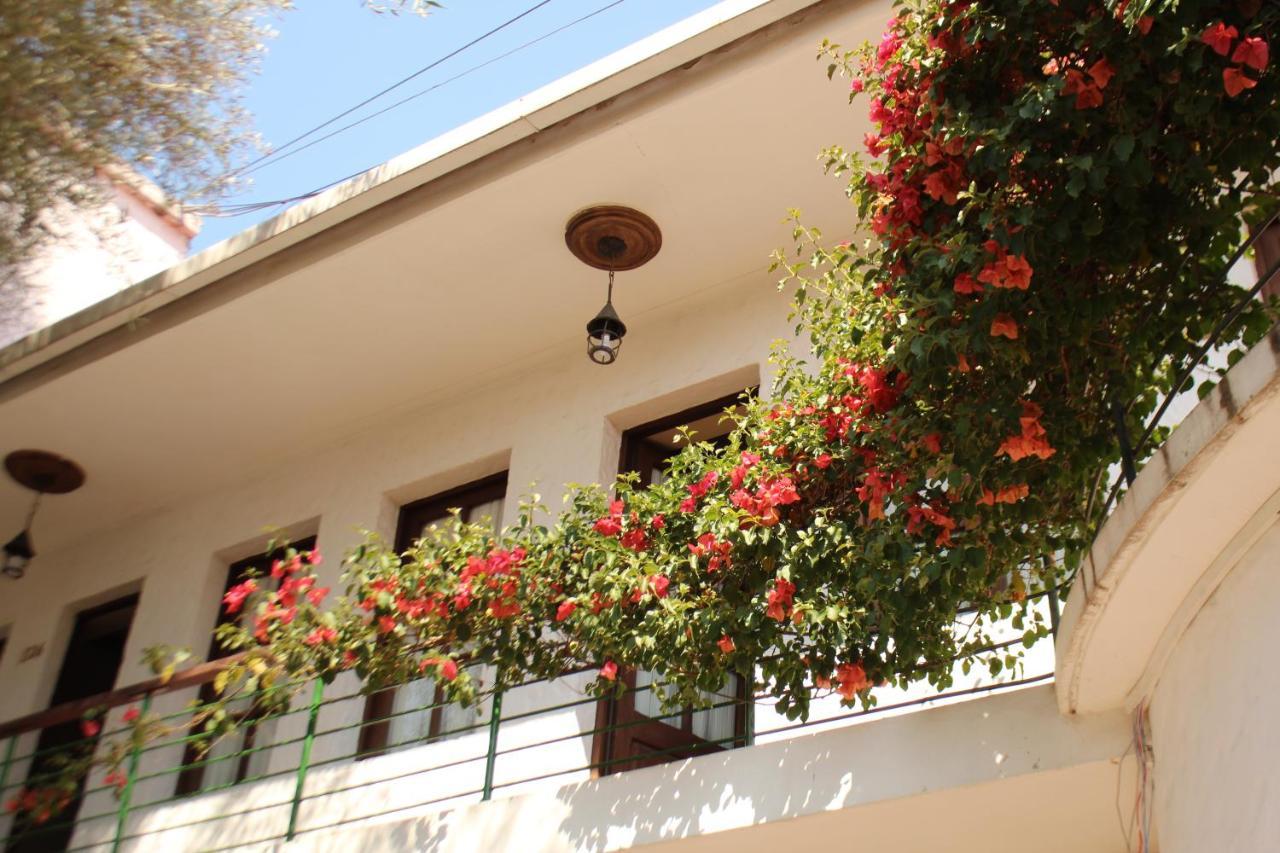 Hostal Viejo Olivo Sucre Ngoại thất bức ảnh