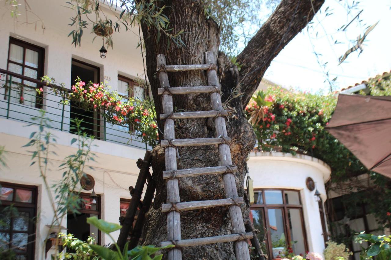 Hostal Viejo Olivo Sucre Ngoại thất bức ảnh